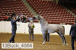 13buck_4864 proof