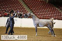13buck_4866 proof