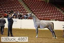 13buck_4867 proof