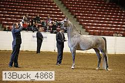 13buck_4868 proof