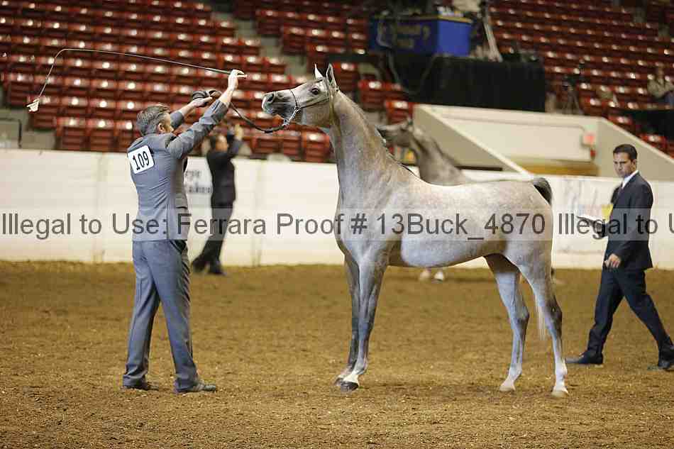 Proof 13buck_4870