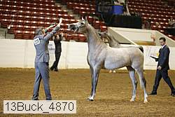 13buck_4870 proof