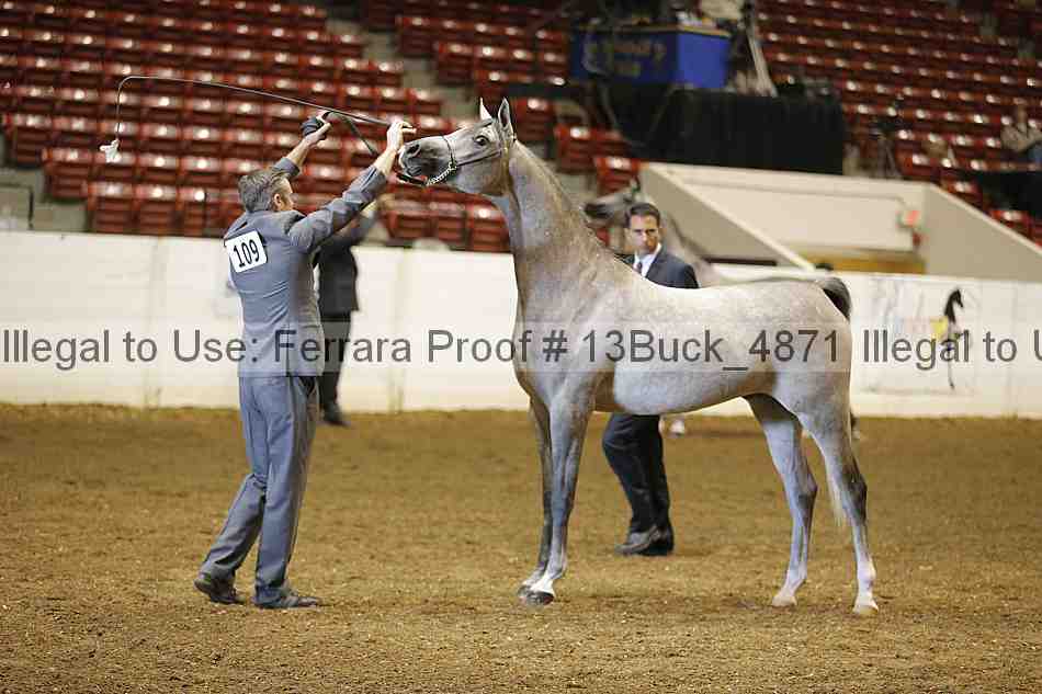 Proof 13buck_4871