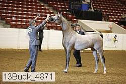 13buck_4871 proof