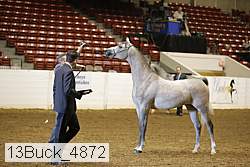 13buck_4872 proof