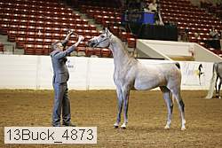 13buck_4873 proof