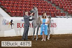 13buck_4875 proof