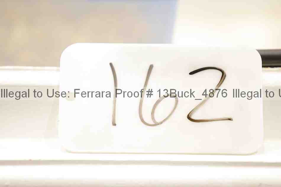 Proof 13buck_4876