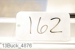 13buck_4876 proof