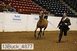 13buck_4877 proof