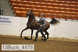 13buck_4878 proof