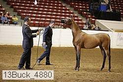 13buck_4880 proof