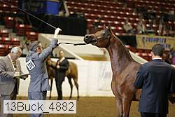 13buck_4882 proof