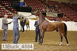 13buck_4884 proof