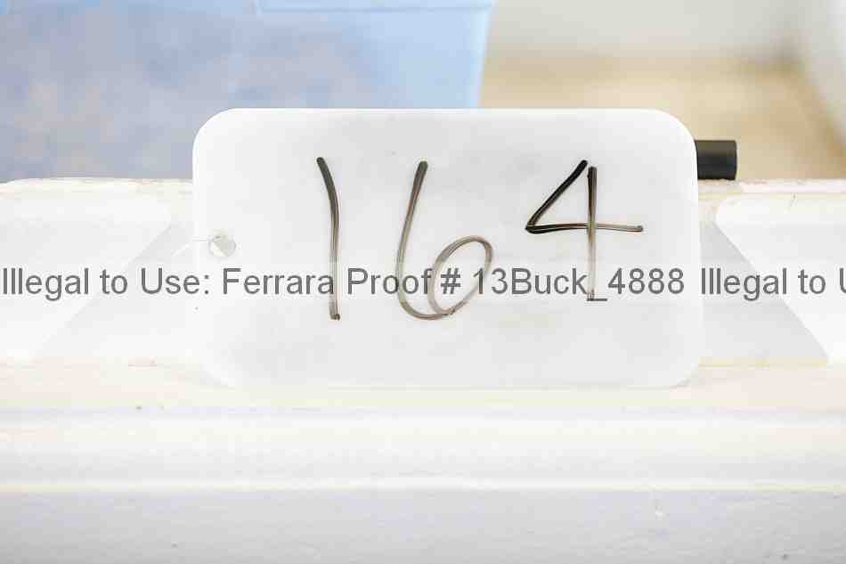 Proof 13buck_4888