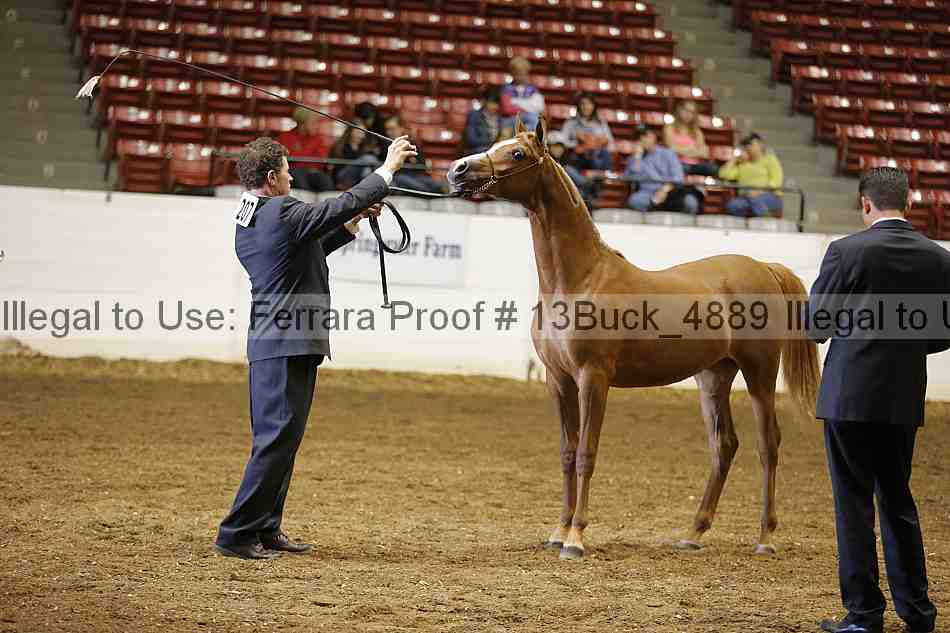 Proof 13buck_4889