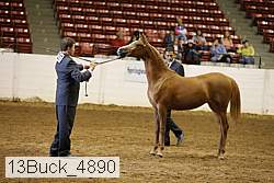 13buck_4890 proof