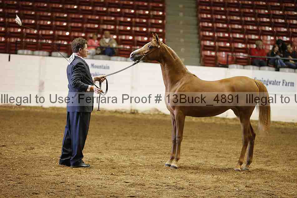 Proof 13buck_4891