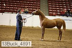 13buck_4891 proof