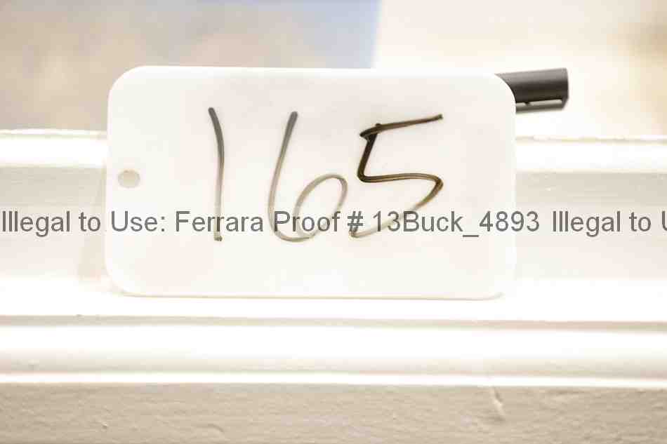 Proof 13buck_4893