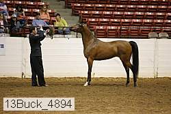 13buck_4894 proof