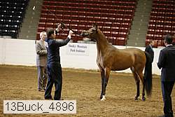 13buck_4896 proof