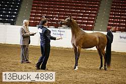 13buck_4898 proof