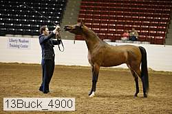 13buck_4900 proof