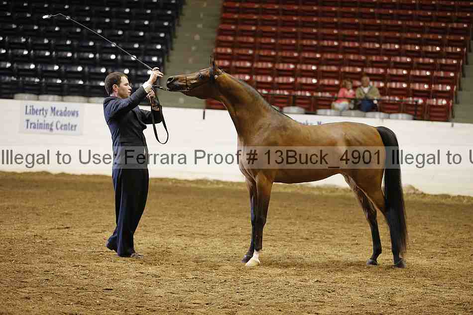 Proof 13buck_4901