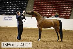 13buck_4901 proof