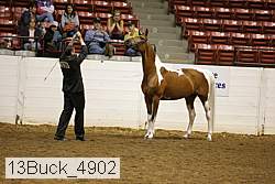 13buck_4902 proof