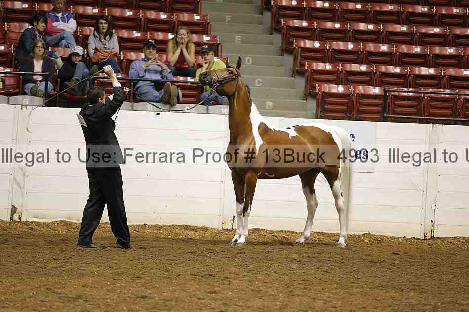 Proof 13buck_4903
