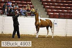 13buck_4903 proof