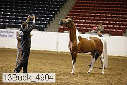 13buck_4904 proof