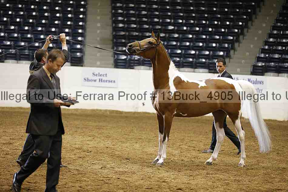 Proof 13buck_4905