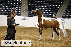 13buck_4905 proof