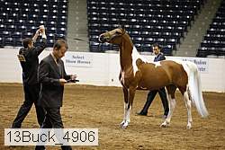 13buck_4906 proof