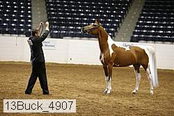 13buck_4907 proof