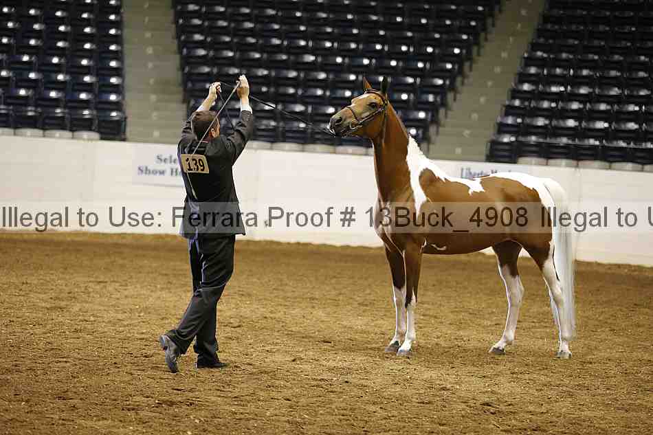 Proof 13buck_4908