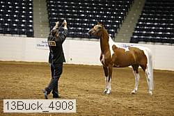 13buck_4908 proof