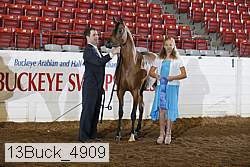 13buck_4909 proof