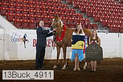 13buck_4911 proof