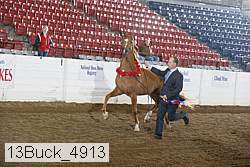 13buck_4913 proof