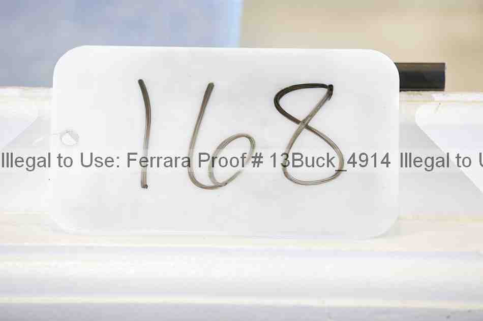 Proof 13buck_4914