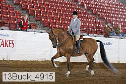 13buck_4915 proof
