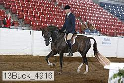 13buck_4916 proof