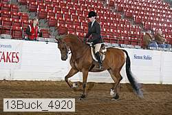 13buck_4920 proof