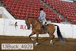 13buck_4929 proof