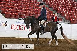 13buck_4932 proof