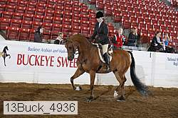 13buck_4936 proof